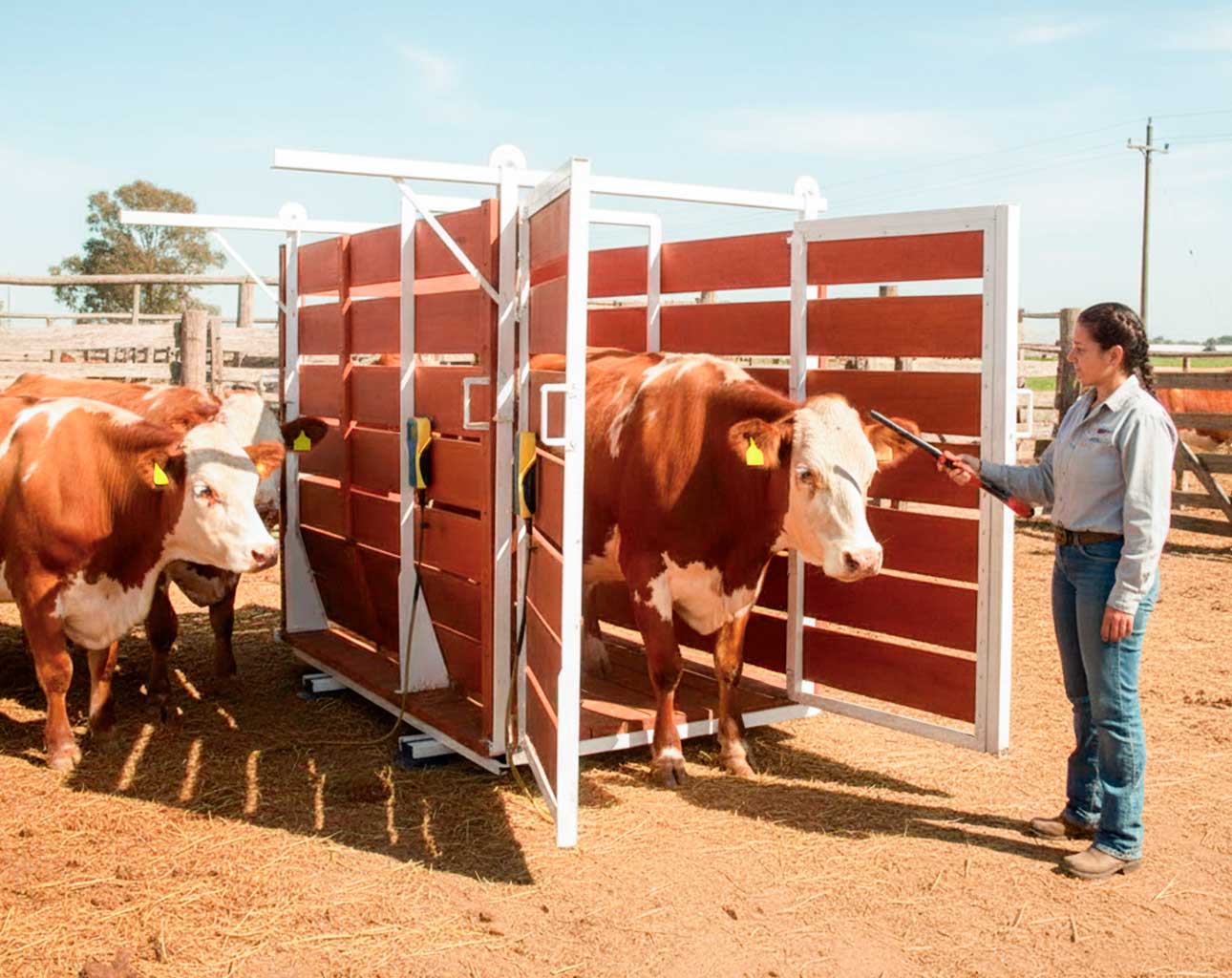 Equipo técnico de Balanzas Vesta trabajando con sensores de pesaje
